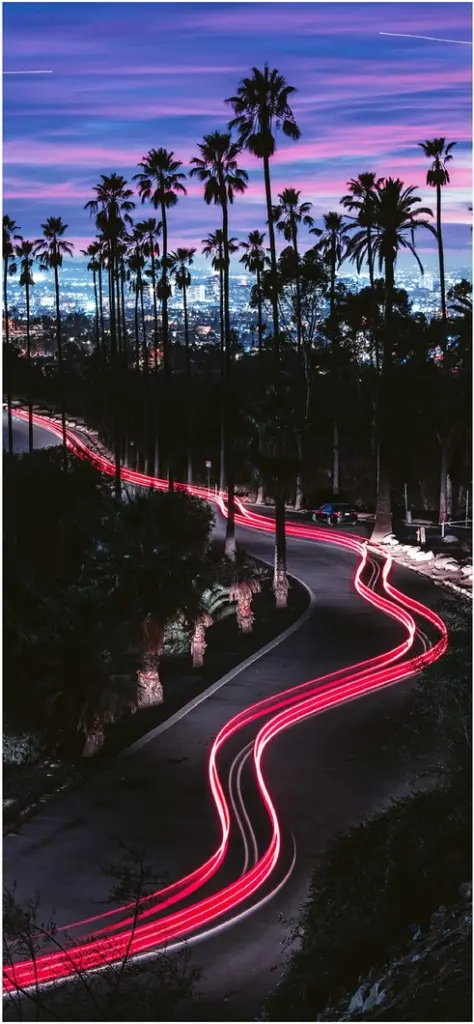 abendliche strassenansicht mit palmen und lichtspuren