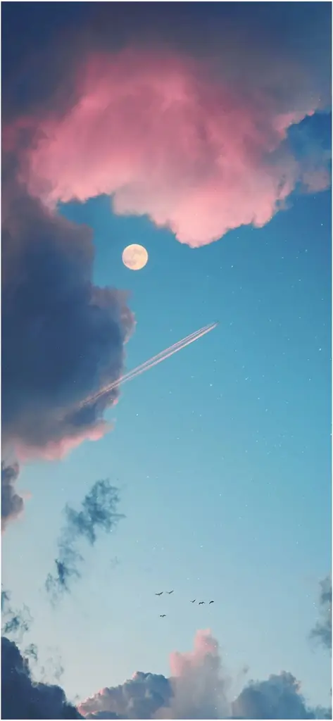 aesthetischer himmel mit mond und fliegenden voegeln