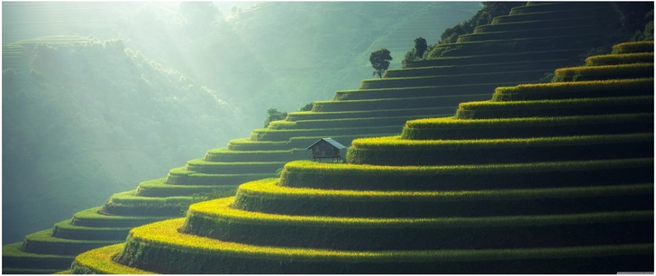 atemberaubende asiatische landschaft mit terrassierten reisfeldern