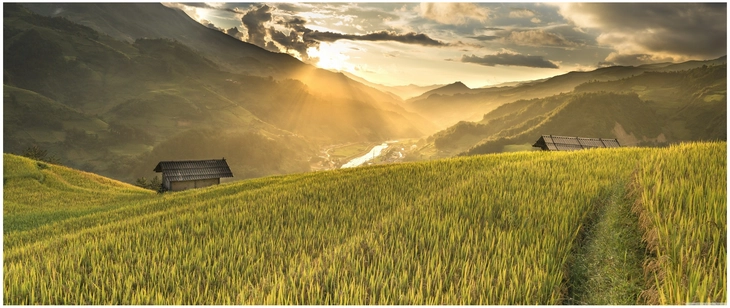 atemberaubende landschaft mit reisfeldern und sonnenuntergang