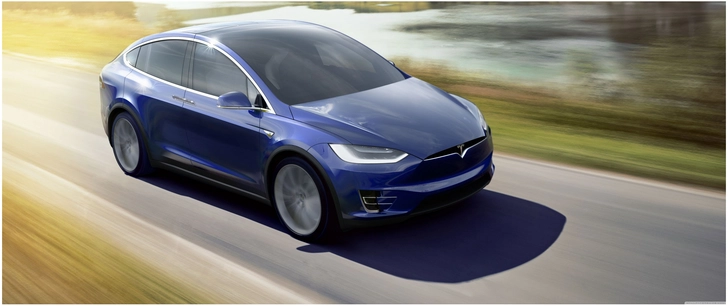 blauer tesla suv in der natur