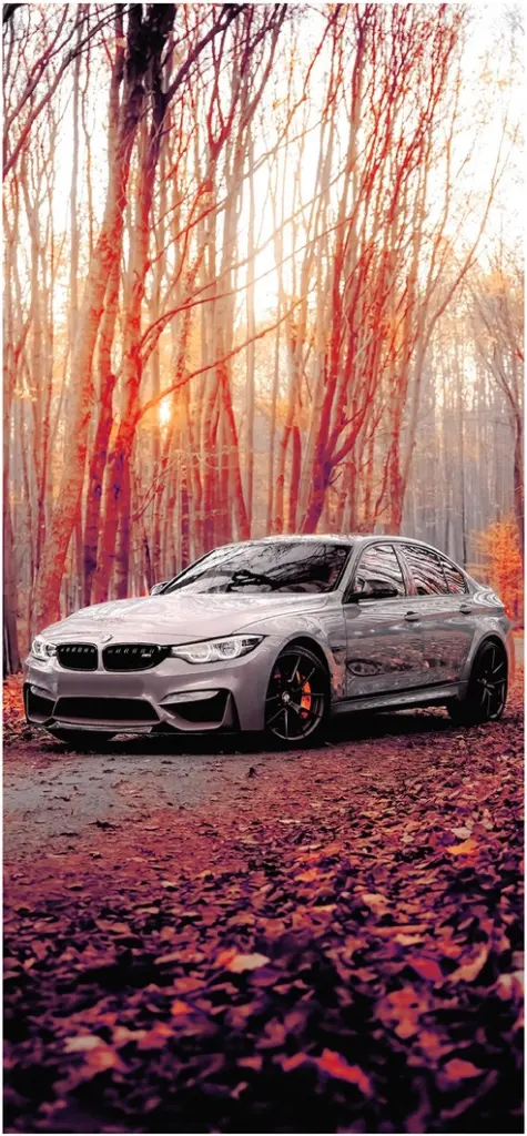 bmw m3 im herbstlichen wald
