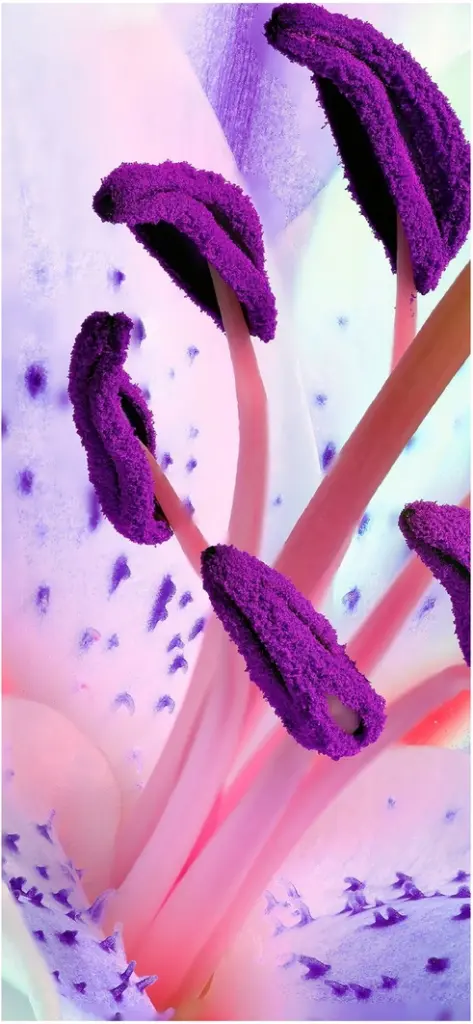 detailansicht einer kunstvoll gestalteten blume in violett