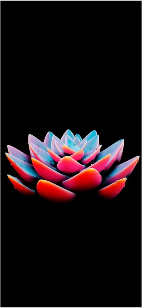 digitale grafik farbenfrohe succulente auf schwarzem hintergrund