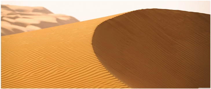 einblick in die schoenheit der wueste mit sandduenen