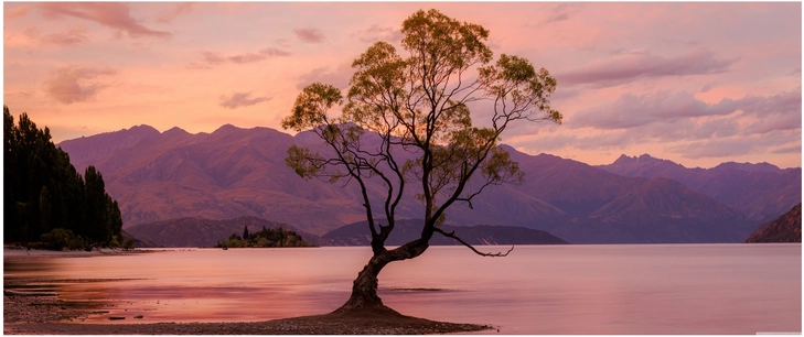 einsamer baum am see mit bergkulisse im sonnenuntergang