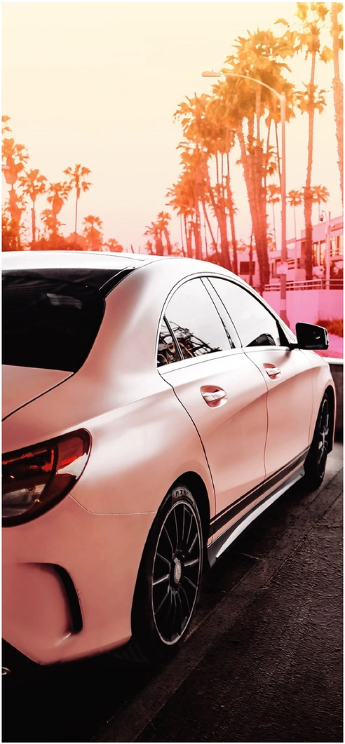 elegantes-auto-in-urbanem-flair-mit-palmen