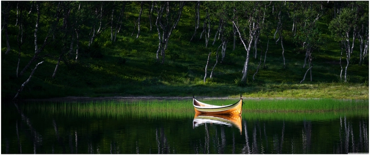 elegantes boot auf ruhigem see in waldlandschaft