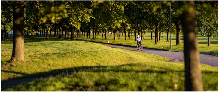 entspannter parkweg mit radfahrer in der natur
