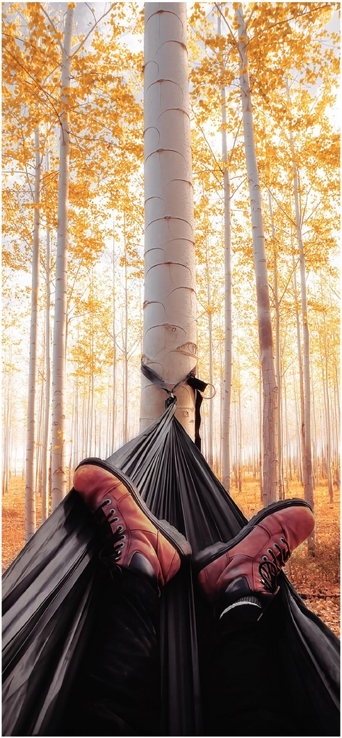 entspannung-in-der-natur-mit-haengematte-im-herbstwald
