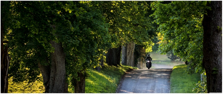 fahrt auf landstrasse umgeben von baeumen