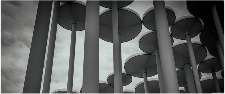 fascinating architecture in black and white with elegant columns