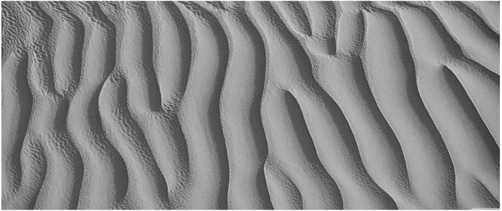 feine sandduenen strukturen in schwarz weiss