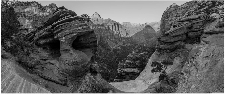 felsige landschaft im zion nationalpark in schwarzweiss