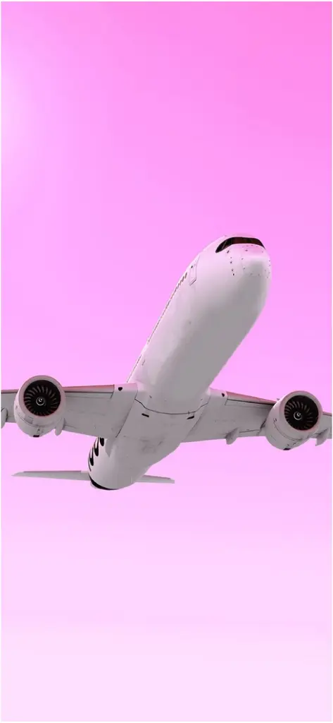 flugzeug fliegt durch pinken himmel