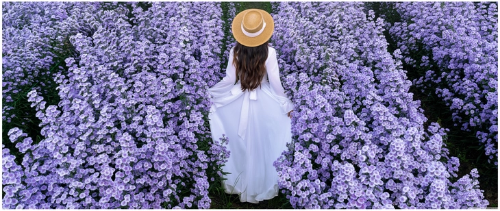frau im weissen kleid in lila blumenfeld