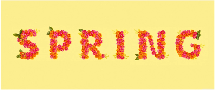 fruehling blumen schriftzug digitale grafik