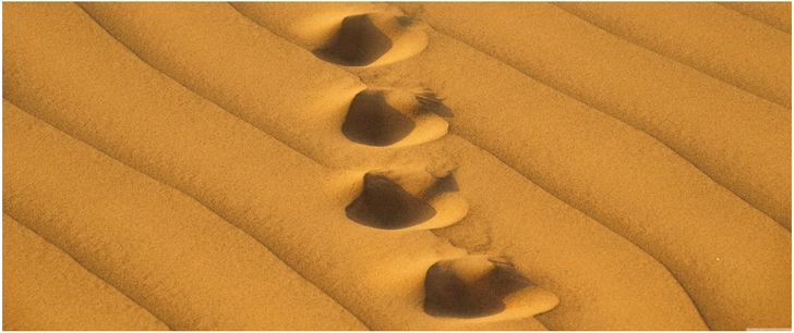 fussabdruecke im sand der duenenlandschaft