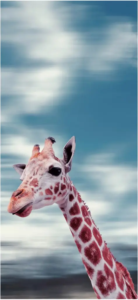 giraffe mit impressionantem blick vor schoenem himmel