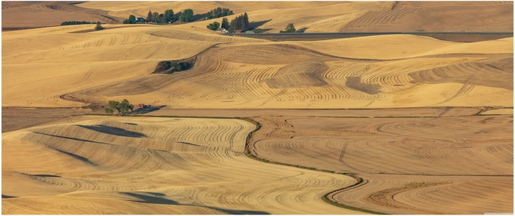 goldene huegel und landwirtschaftsfaecher in der natur