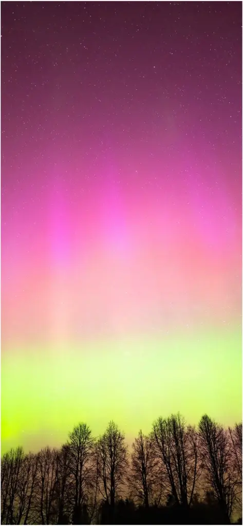 gruen rosa aurora silhouetten im nachthimmel