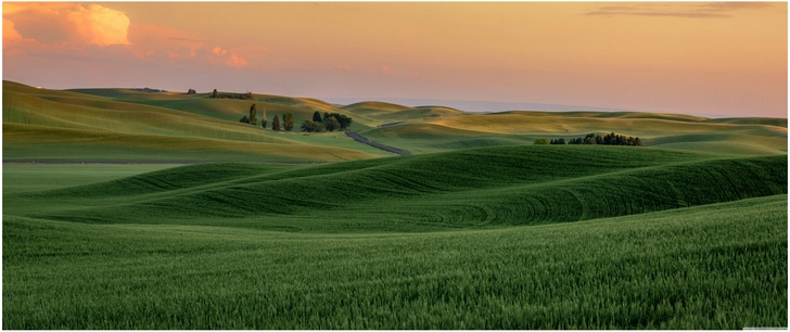 gruene landschaft mit sanften huegeln und abendhimmel