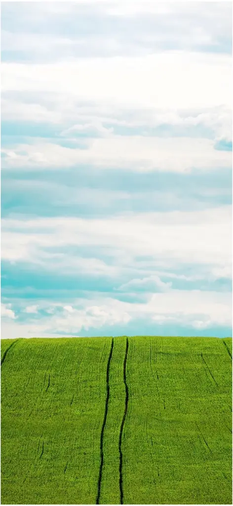 gruenes feld mit wolkenhimmel und sanften linien