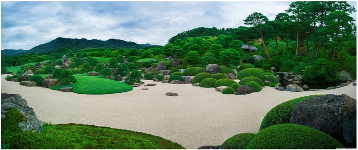 harmonischer japanischer garten mit pflanzen und felsen