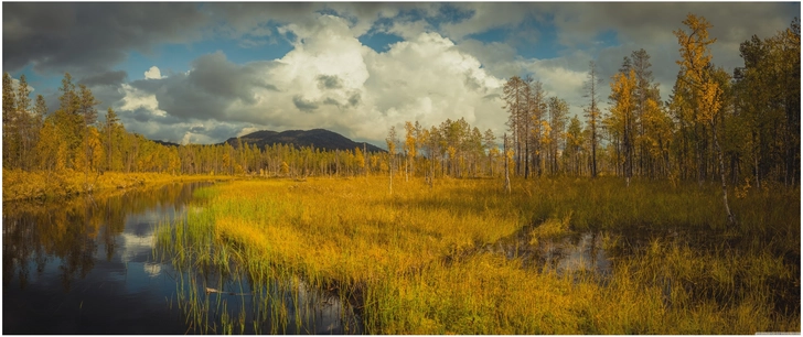herbstlandschaft am fluss in lappland