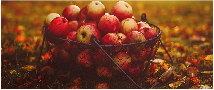 herbstliche aepfel im korb auf buntem laub