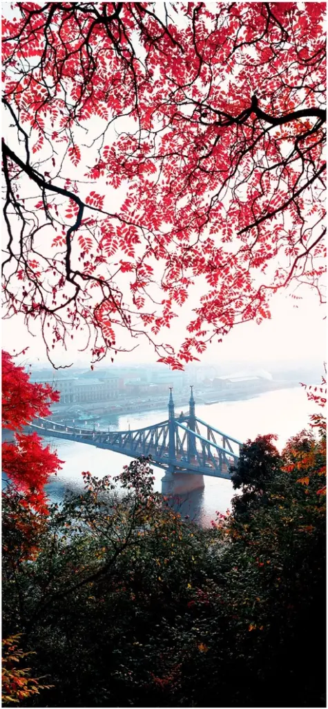 herbstliche bruecke in einer malerischen stadtlandschaft