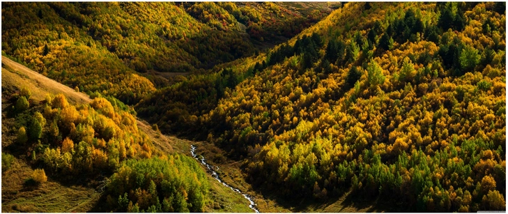 herbstliche landschaft mit bunten baeumen und bach