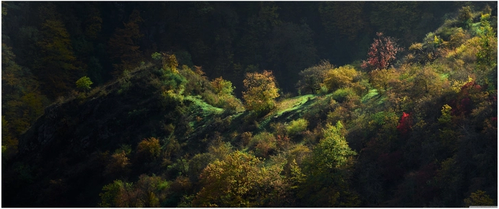herbstliche landschaft mit bunten baeumen und sanften huegeln