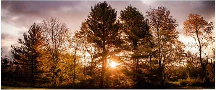herbstliche landschaft mit sonnenuntergang und baeumen