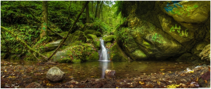 idyllische waldlandschaft mit wasserfall und teich