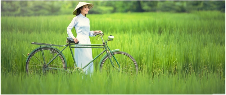 junge frau mit fahrrad im reisfeld