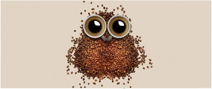 kreative kaffeebohnen eule mit kaffeetassen
