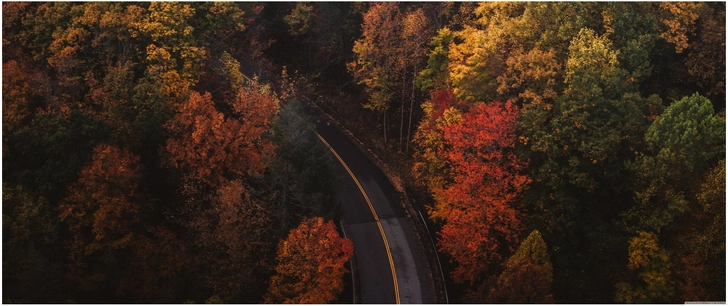 kurvenreiche strasse im herbstlichen wald