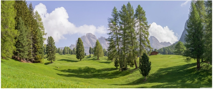 landschaft in den dolomiten mit tannenbaeumen und bergen