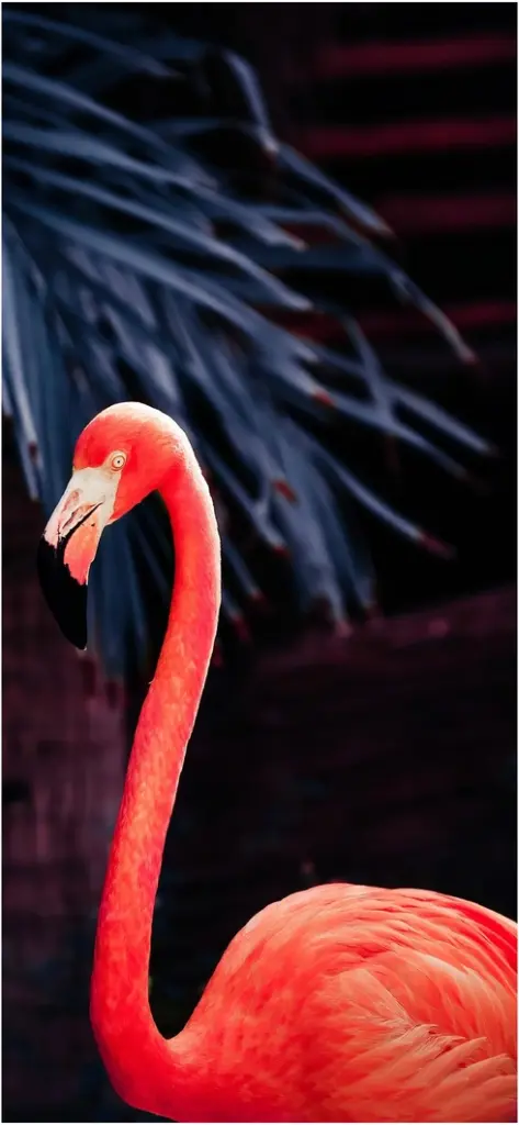 lebensgrosser flamingo vor dunklem hintergrund