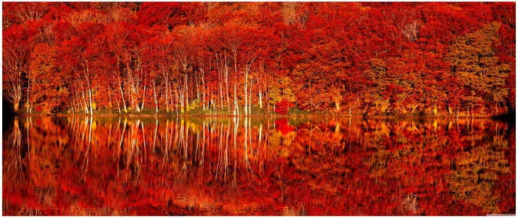 leuchtende herbstlandschaft mit spiegelung im wasser