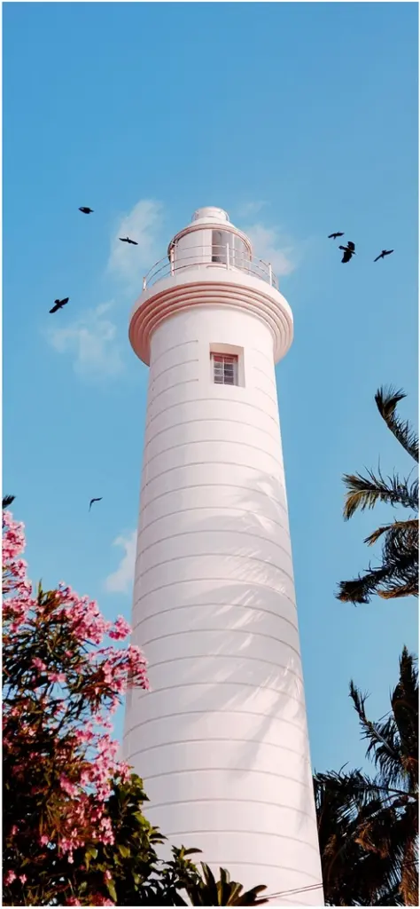 leuchtturm im sonnenlicht umgeben von natur und voegeln