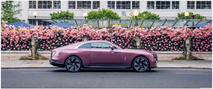 luxurioeser sportwagen vor bluehender blumenwand
