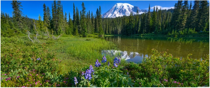 majestatische berglandschaft mit klarem see und bunten wildblumen