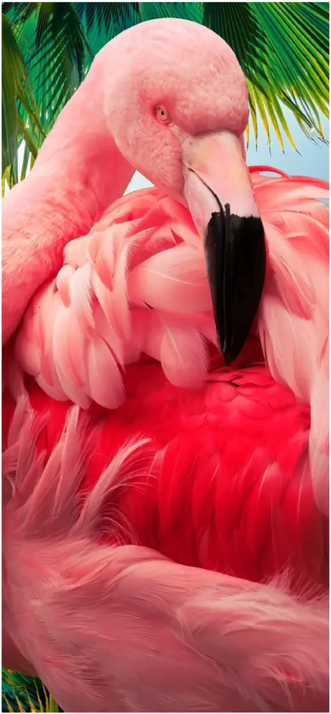 majestatischer rosa flamingo in tropischer umgebung