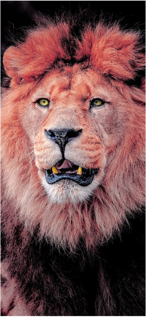 majestetaescher-loewe-mit-praechtiger-maehne-und-ausdrucksstarken-augen