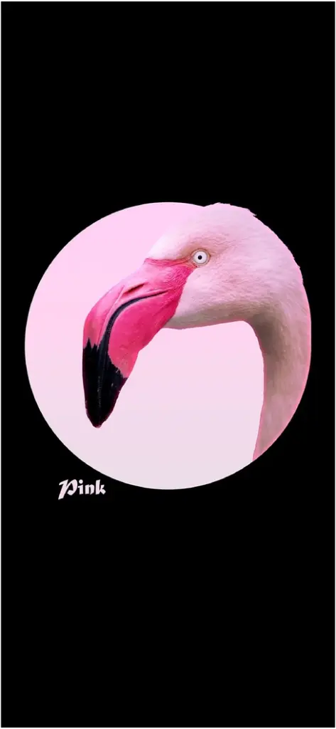 majestetischer flamingo vor einem rosa hintergrund
