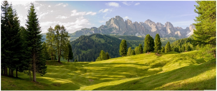 malerische alpine wiesenlandschaft mit bergen und baeumen