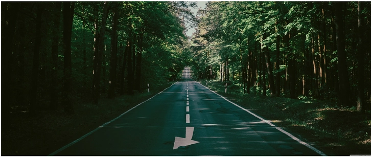 malerische strasse im wald typ