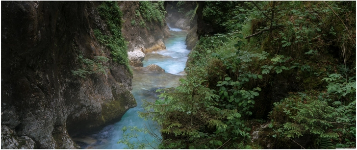 malerischer fluss dichte waldlandschaft